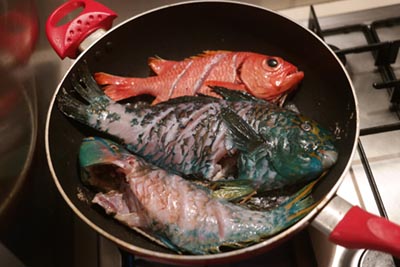 fish in pan